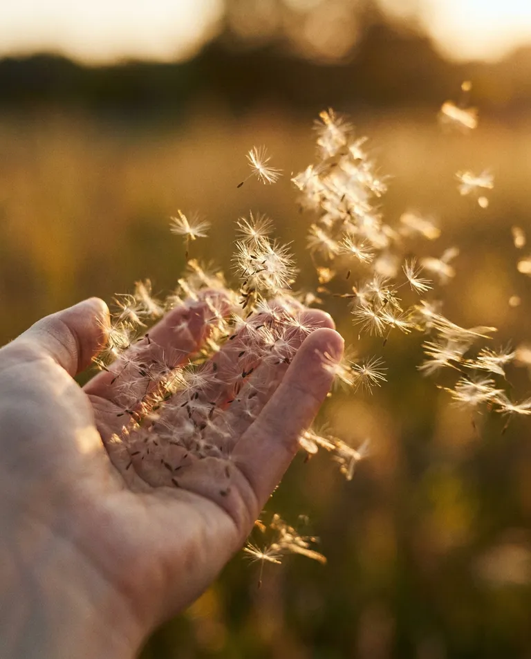 A tight editorial crop of a woman's hand releasing a handful of wildflower seeds into the wind, the seeds suspended mid-…