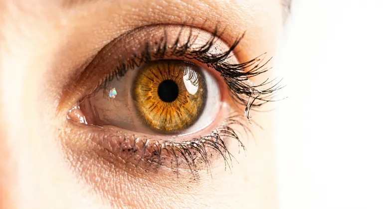 A hyper-detailed close-up of a woman's eye — mascara slightly smudged, a single false lash beginning to peel at the inner corner. A small iridescent glitter flake has settled near her tear duct. The iris is a rare amber color with visible radiating textures. Shot with a true macro lens, revealing every individual lash and the microscopic surface of the skin around the eye. Soft studio light from one side creates a warm, gentle glow. Background is completely blown out to white.